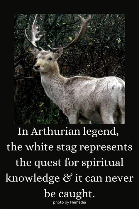 Anime Animals, Cute Animals, Arthurian Legend, Symbols And Meanings ...