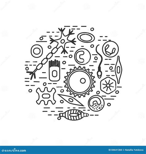 Different human cell types stock vector. Illustration of human - 84641384