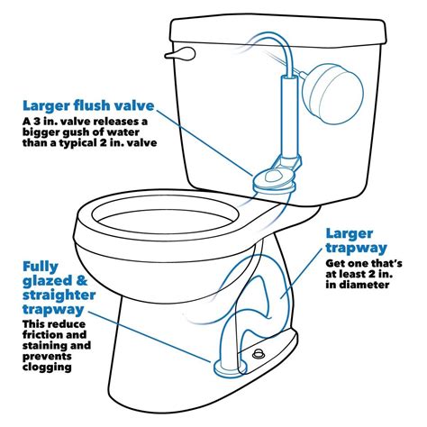 Top Toilet Seat Brands In India | Bruin Blog