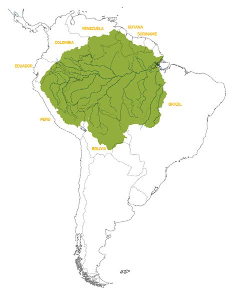 Catástrofe Buen sentimiento Predecesor mapa de la selva amazonica ropa interior cisne escarabajo