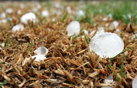 Hail Damage? Here's what you need to know. - Chrinco