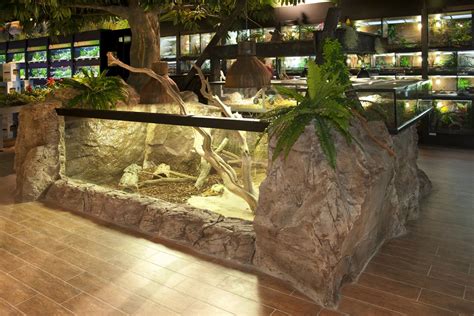 Koelle-Zoo_Nuernberg casco uk | Reptile zoo, Zoo architecture, Reptile room