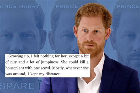 Prince Harry Spare: 19 stories that missed headlines.