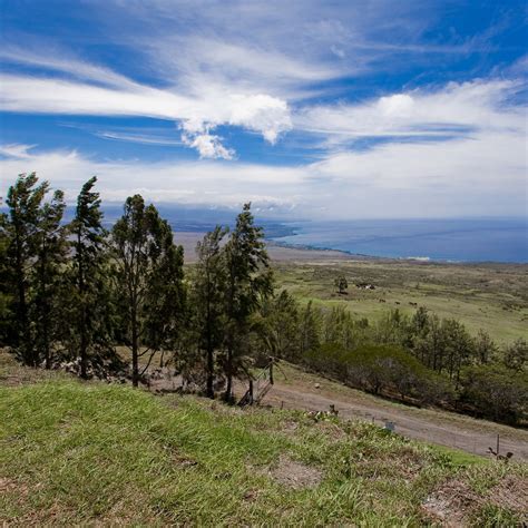 Kohala Mountain Road | A view toward Waikui from the scenic … | Flickr