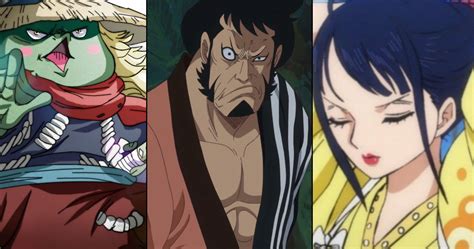 One Piece: 10 Things You Should Know About Wano Country