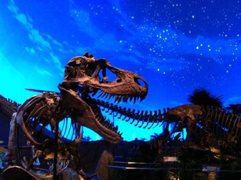 Dinosphere, at The Children's Museum of Indianapolis | Flickr