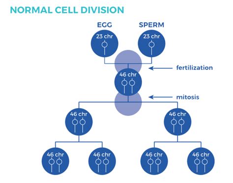 Types of Down Syndrome