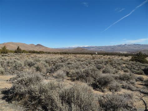 Sun Valley Regional Park, Sun Valley, Nevada | Ken Lund | Flickr