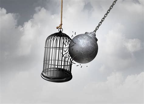 600+ Escape Prison Broken Cage Stock Photos, Pictures & Royalty-Free Images - iStock