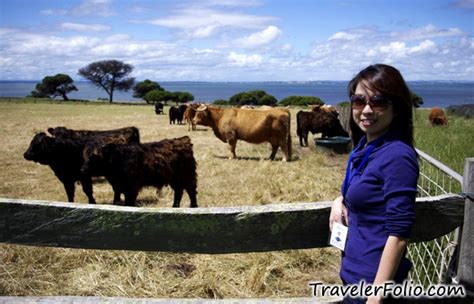 Churchill Island Heritage Farm |Phillip Island nature parks @ Singapore Travel & Lifestyle Blog