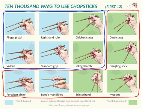 How To Hold Chopsticks : How To Properly Hold Chopsticks Youtube / Learn about the different ...