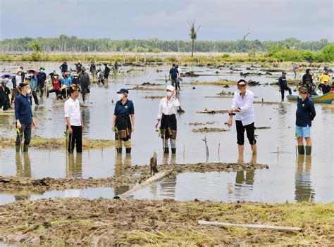 Keterangan Pers Presiden Republik Indonesia Usai Melakukan Penanaman Pohon Mangrove di Kabupaten ...