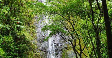 Manoa Falls, Honolulu, Hawaii