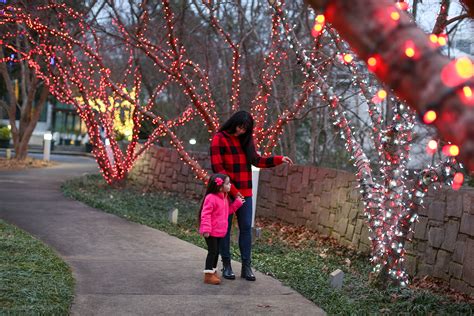 State Botanical Garden to become Winter WonderLights in December - UGA ...