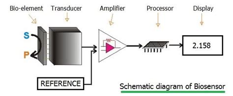 Types of Biosensors | Working principle of Biosensors types