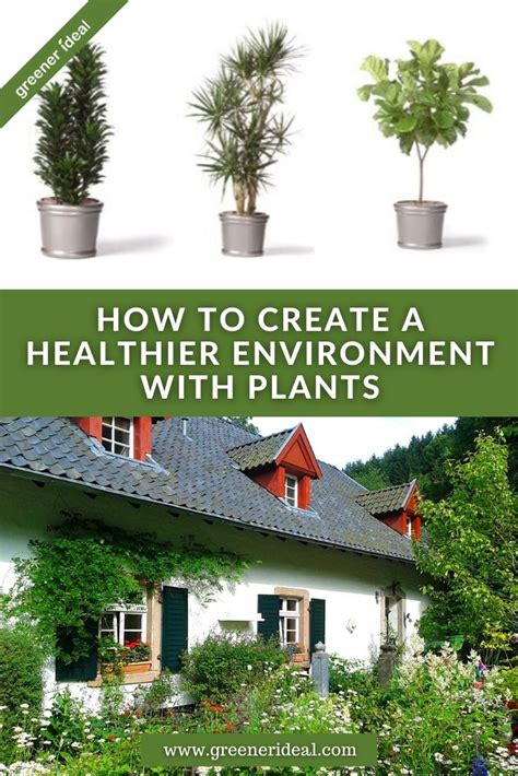 Creating Healthier Environments with Plants | Healthy environment, Sustainable garden, Eco ...