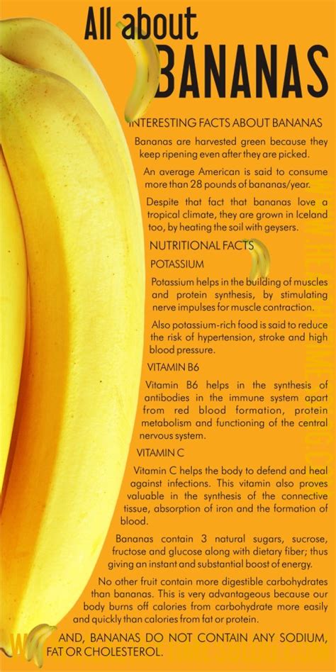 Health Blog — Bananas are an effective treatment for diarrhea