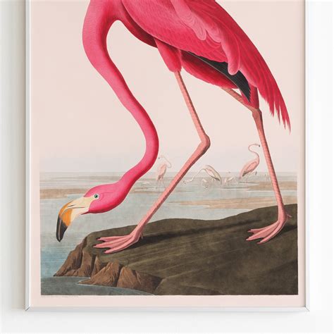 Tropical Flamingo Print Caribbean Art Home Wall Decor - Etsy