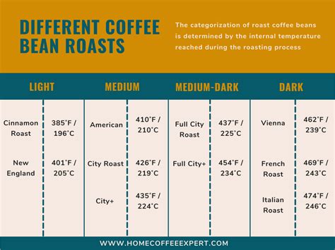 Ultimate Guide to Coffee Bean Roasts: Which One Is Best?