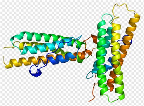 Proteína Vinculin Talin Alpha helix Catenin, Integrin, outros, pérola ...