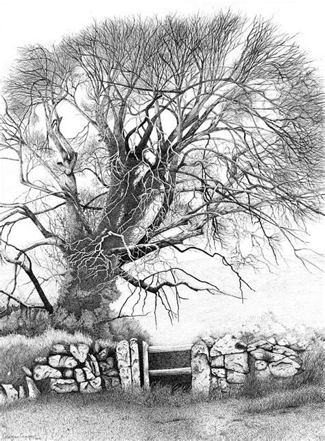 Elm Tree Pen and Ink Landscape Print