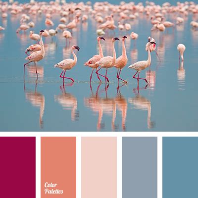 color of flamingo | Color Palette Ideas