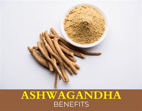 Top Ten Magical Benefits of Ashwagandha - Medical Darpan