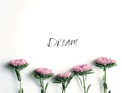 What is the Purpose of Dreams? - KnowsWhy.com