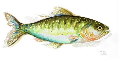 Watercolor Fish II Painting by Patricia Pinto - Fine Art America