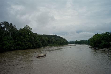 Napo River | A view of the Napo River, Ecuador. Photo by Tom… | Flickr