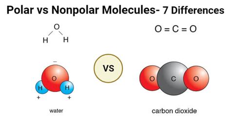 Polar and Nonpolar Covalent Bonds: Characteristics & Differences ...