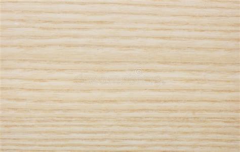 Bright wood texture stock photo. Image of design, bright - 64096958