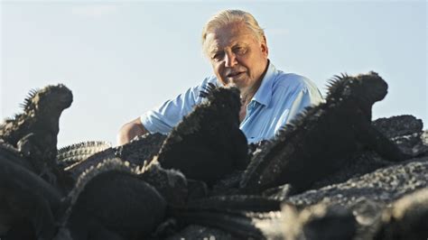 David Attenborough's First Life - TheTVDB.com