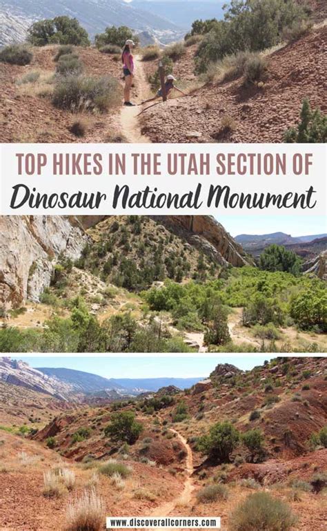 34+ dinosaur national monument hiking - TomaWarner