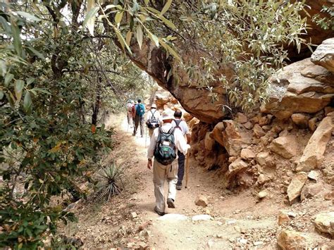 GREAT HIKES: Madera Canyon Trail | Get Out | gvnews.com