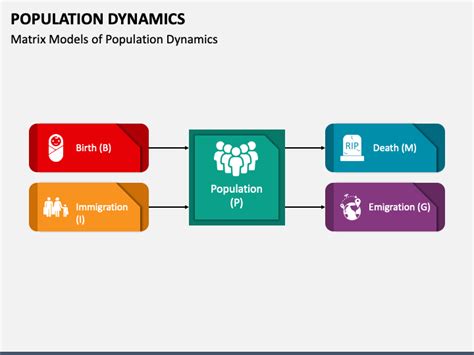 Population Dynamics PowerPoint and Google Slides Template - PPT Slides