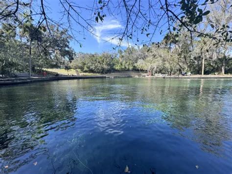 Best Walking Trails in Wekiwa Springs State Park | AllTrails