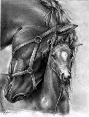 Realistic Horse Drawings