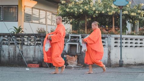 Premium Photo | Full length of monks walking on road