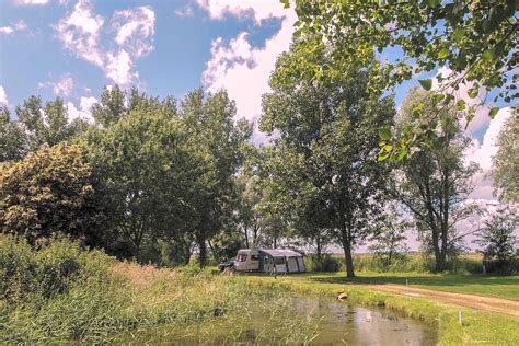 Reedham Ferry Touring and Camping Park, Norwich - Pitchup®