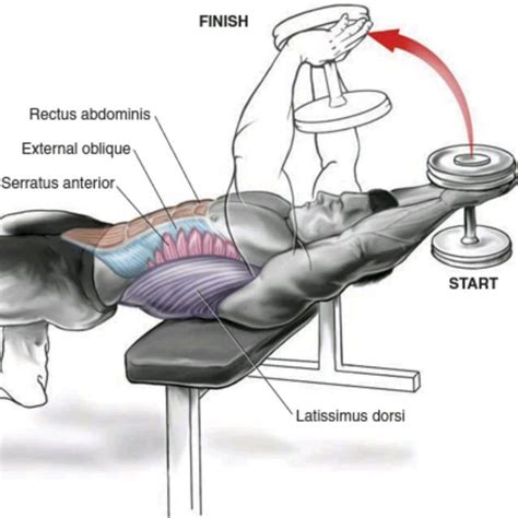 Dumbbell Pullover by Uncle Heiko S - Exercise How-to - Skimble