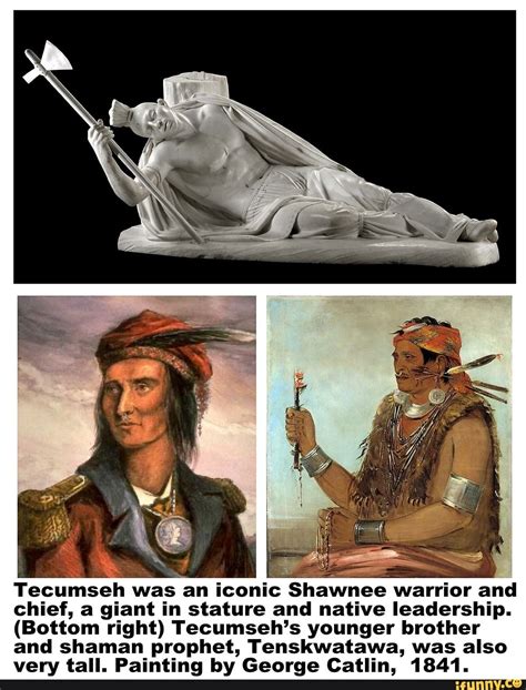 Tecumseh was an iconic Shawnee warrior and chief, a giant in stature and native leadership ...