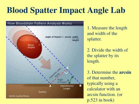 Angle Of Impact Blood Spatter Calculator