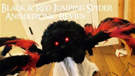 Black & Red Jumping Spider Animatronic Review - Spirit Halloween 2020 - YouTube