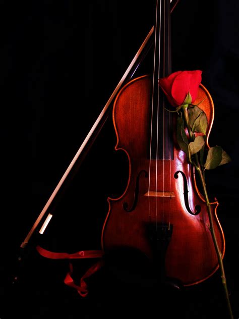 Pin by John Messerschmidt on Violinist photography in 2020 | Violin ...