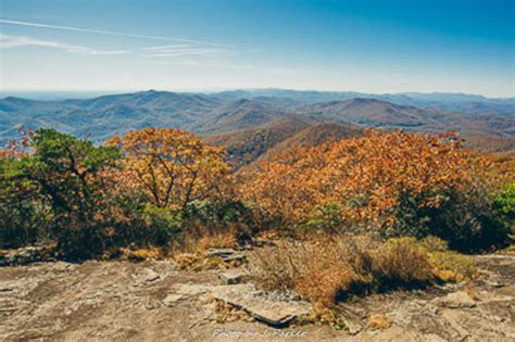 BLOOD MOUNTAIN Cabins | cabin rentals | 12829 Gainesville Highway, Blairsville, GA, USA