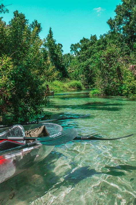 Kayaking Rock Springs in Clear Kayaks! | Vacation places, Cool places to visit, Florida travel