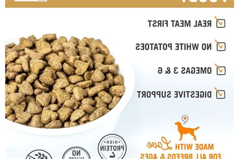 Cheap Grain Free Dog Food 50 | petswithlove.us