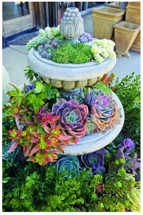 low landscape plants next to tall fountain | ... steps to create a lush and lovely container ...