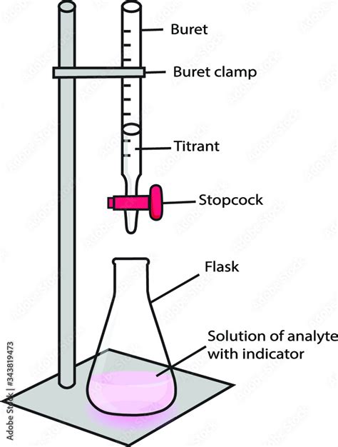 Acid-base titration and phenolphthalein indicator Stock Vector | Adobe ...